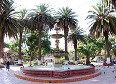 Tarija